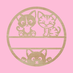 Katten - Colorfox