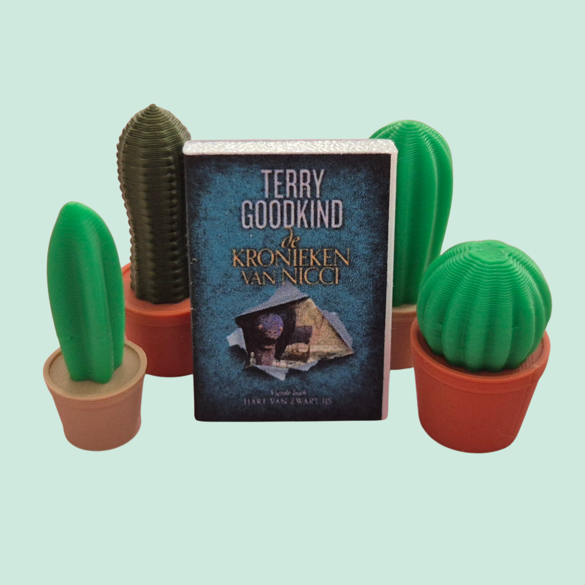 Mini cactus - 4 soorten met boekendisplay - Colorfox