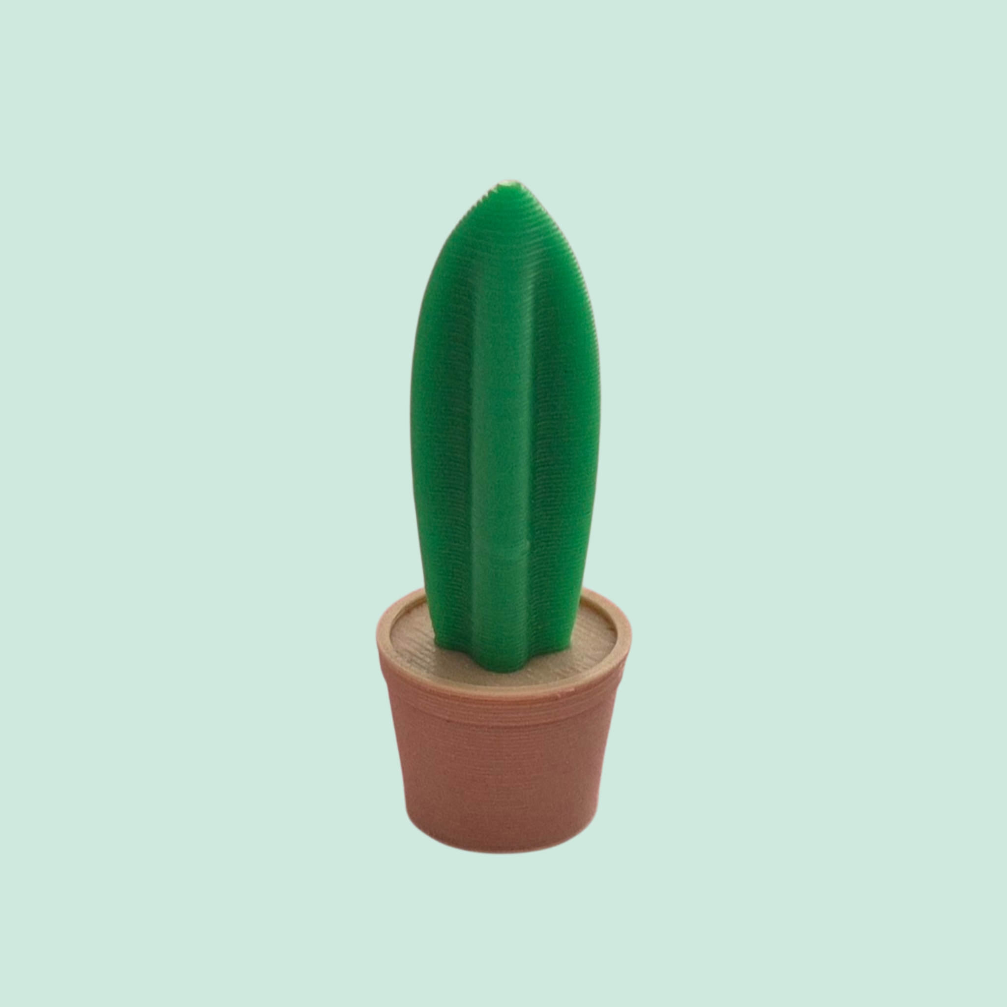 Mini cactus smalle versie - Colorfox