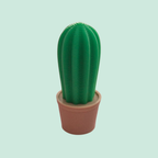 Mini cactus - hoge versie - Colorfox
