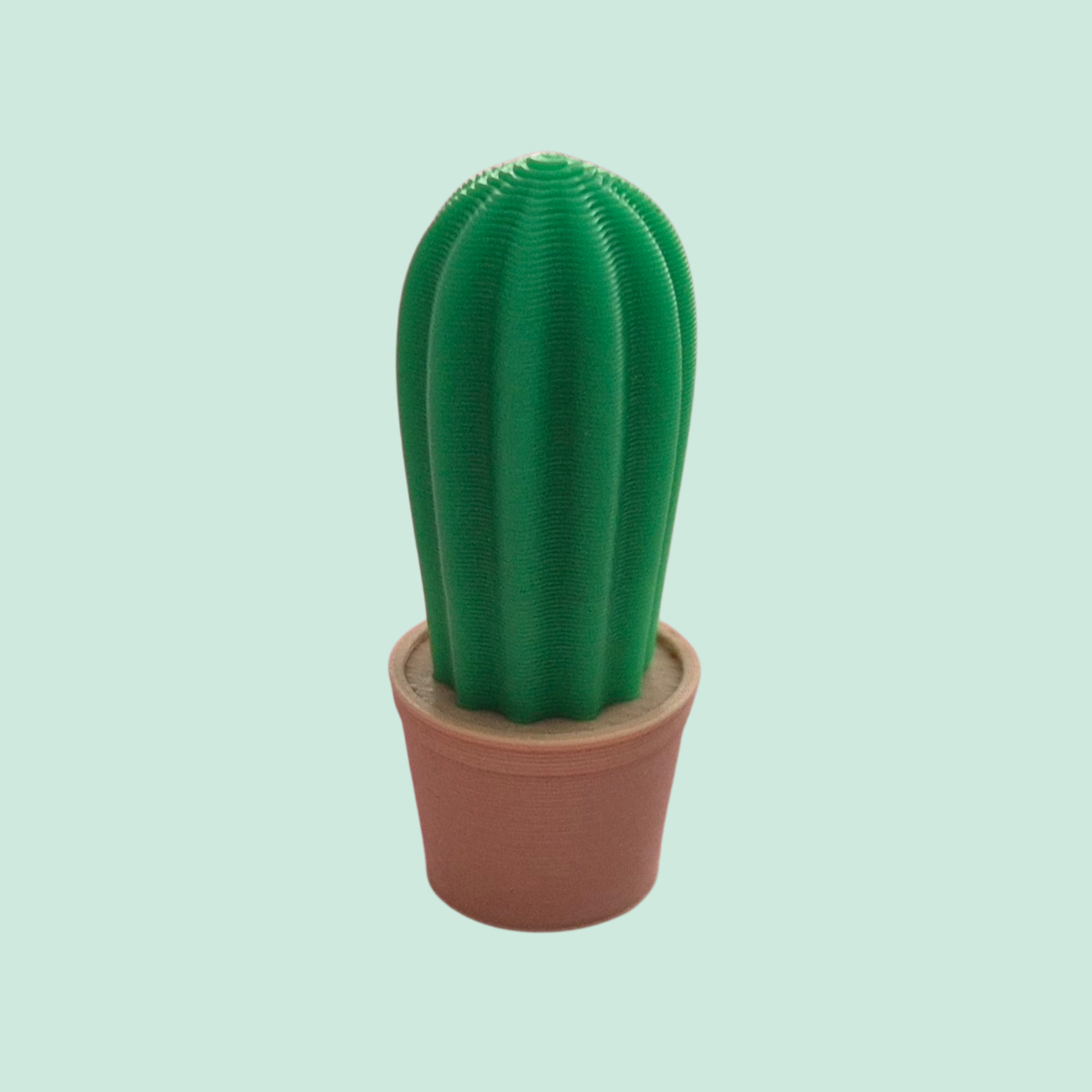Mini cactus - hoge versie - Colorfox