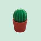 Mini cactus - bolle versie - Colorfox