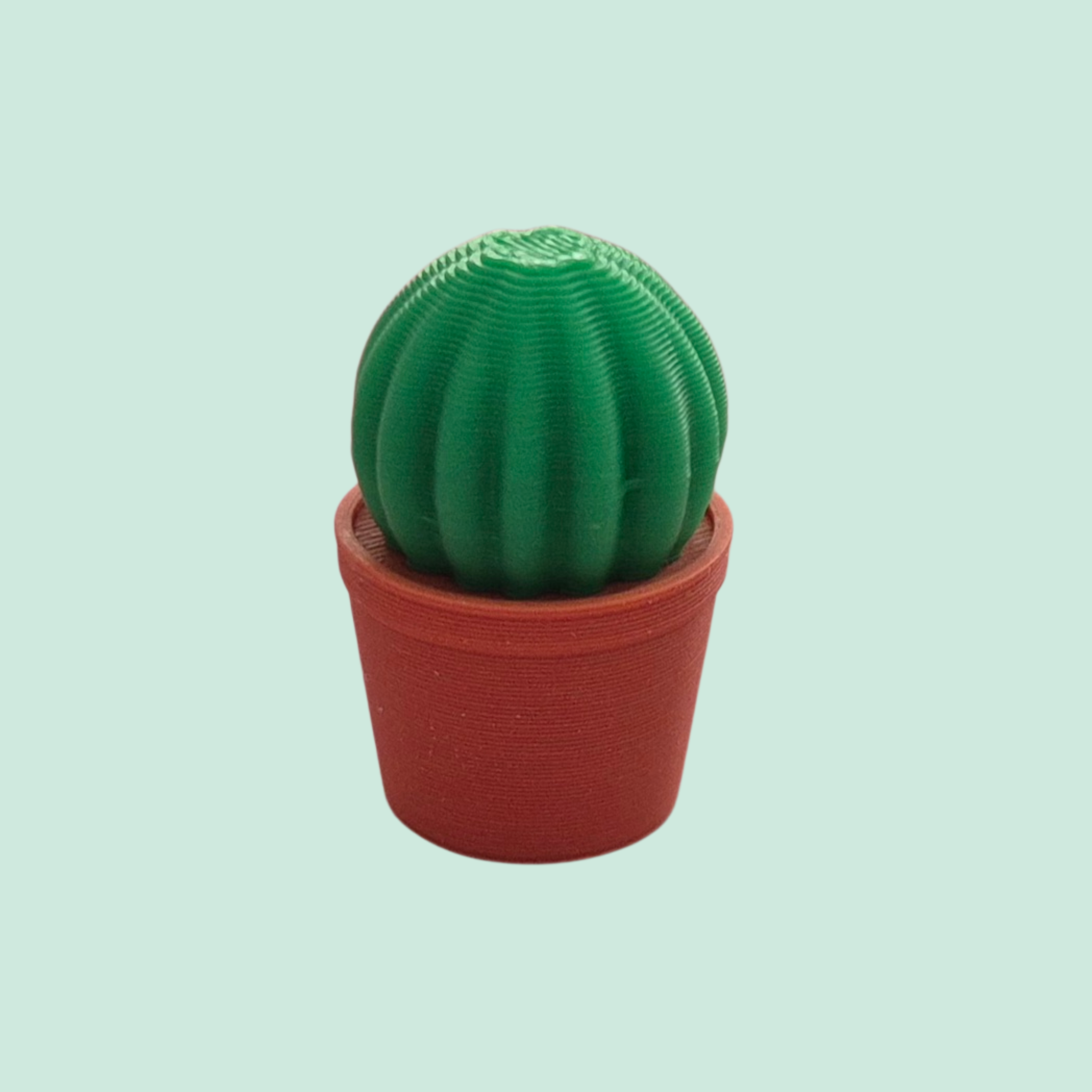 Mini cactus - bolle versie - Colorfox