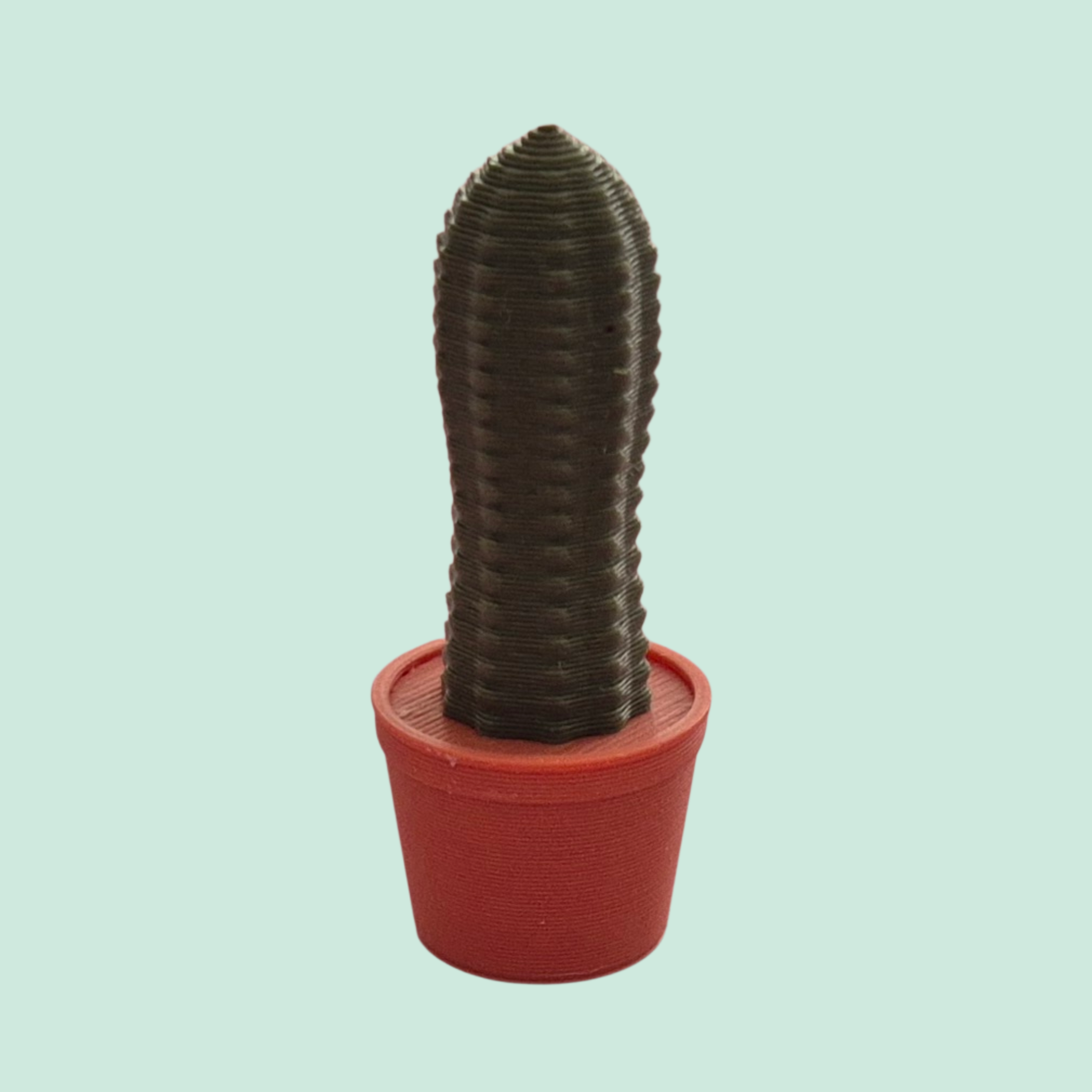 Mini cactus - augurk versie - Colorfox