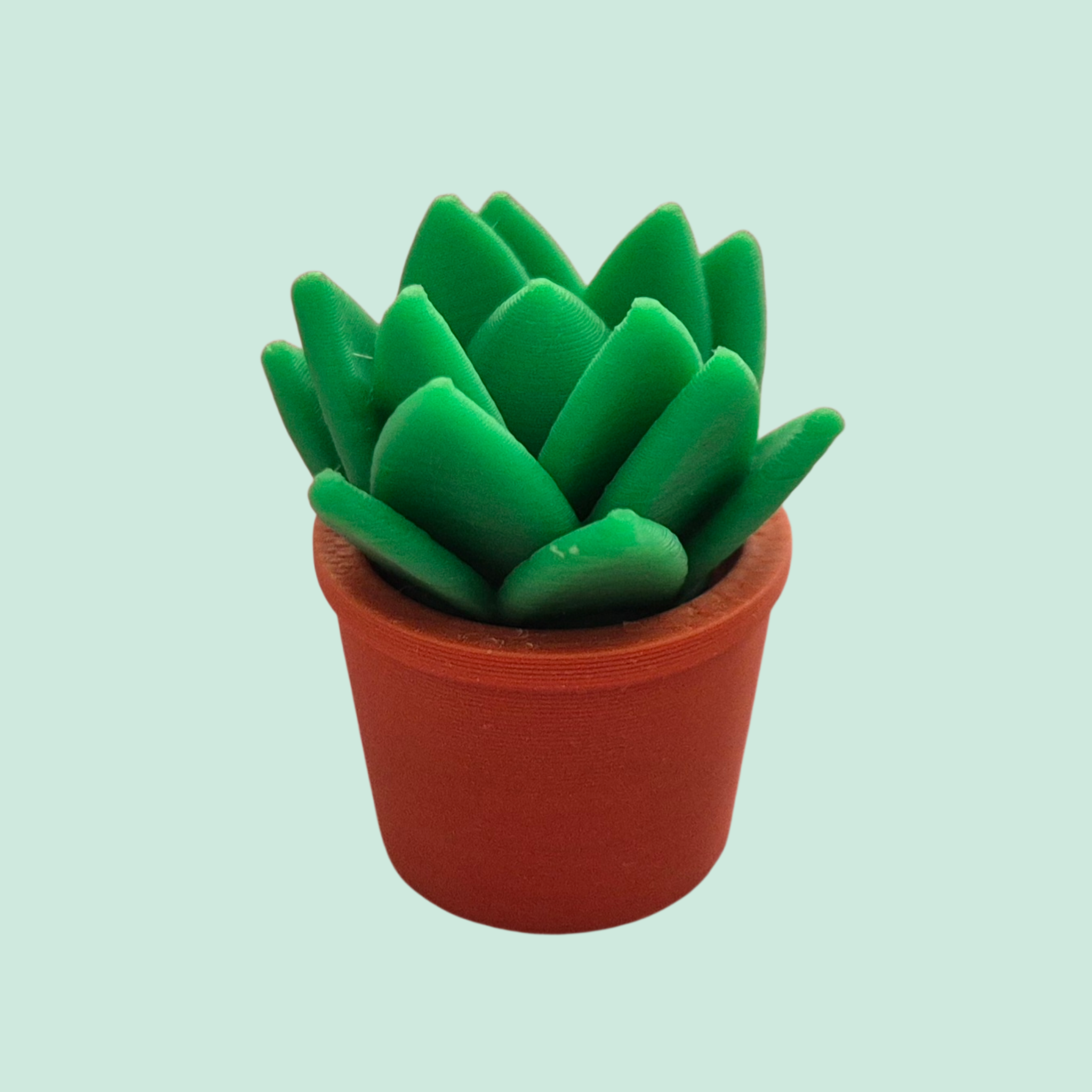 Mini vetplant - Colorfox