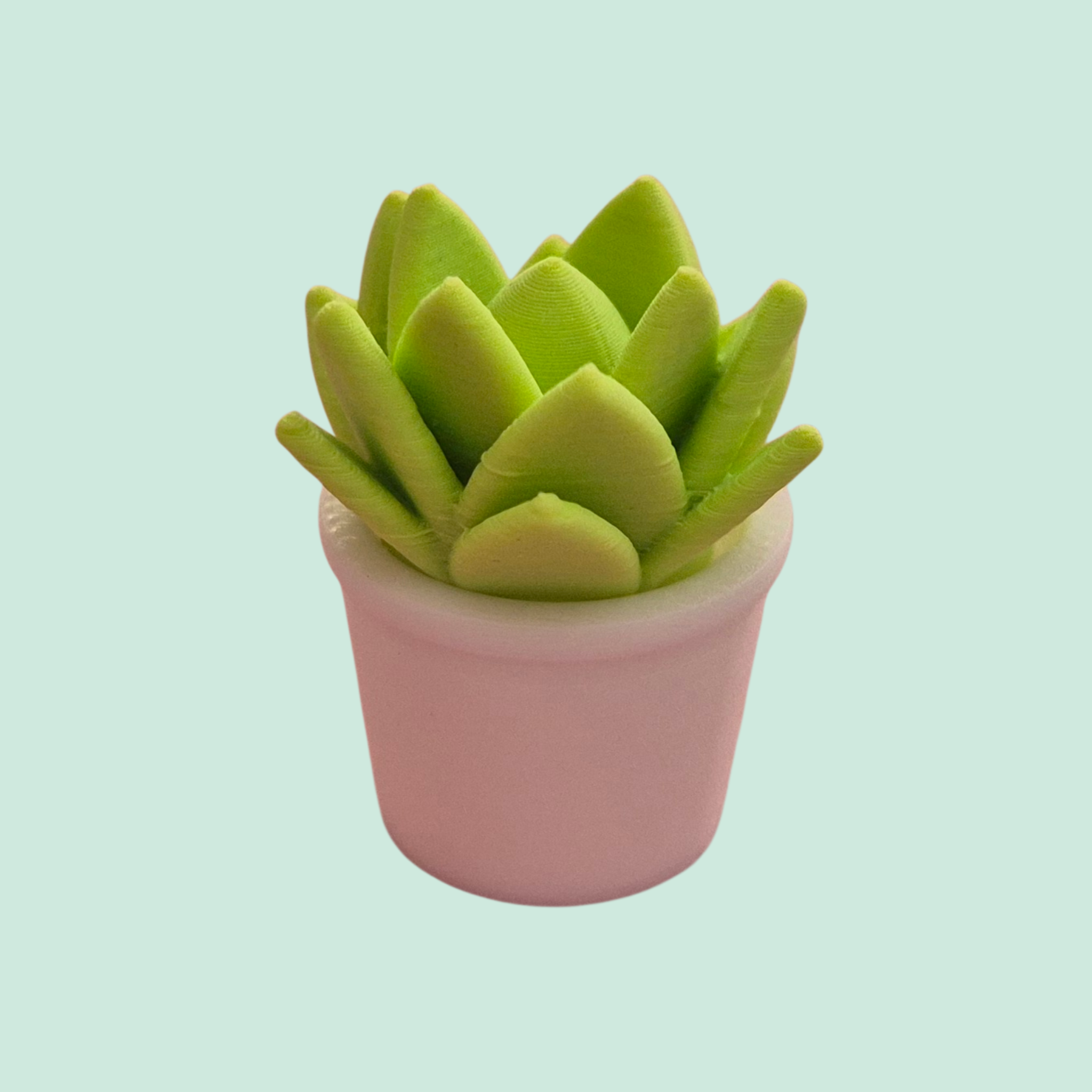 Mini vetplant - Colorfox
