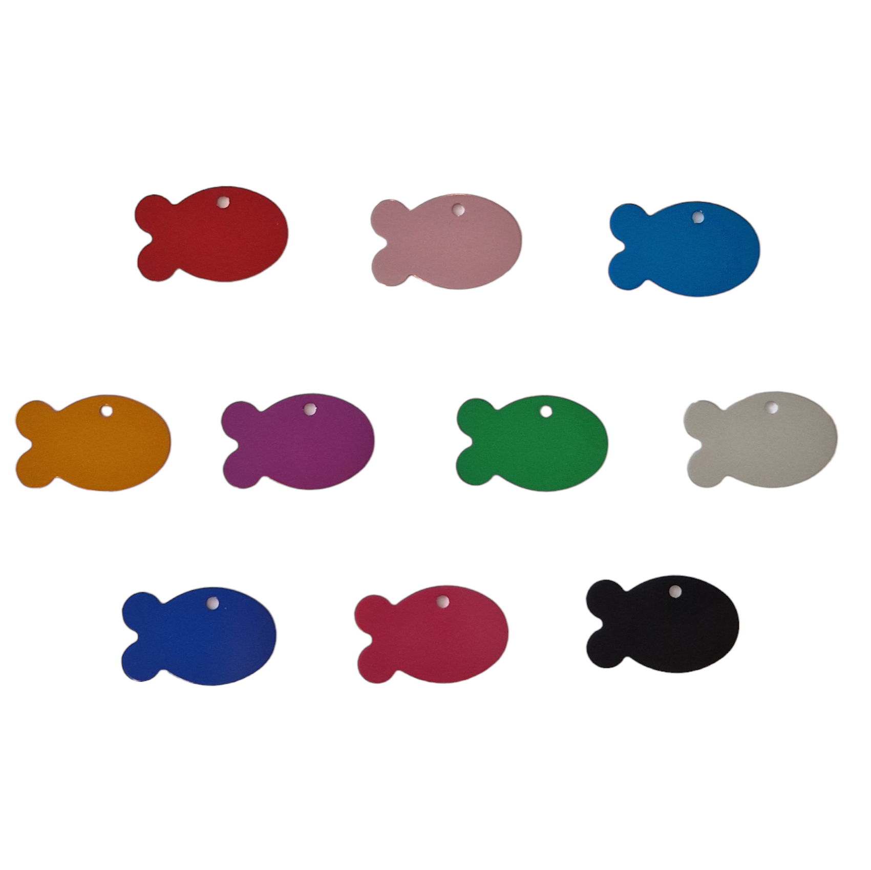 Naamplaatje Vis - Colorfox